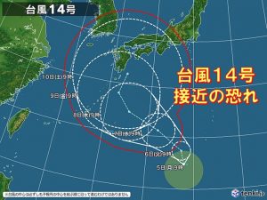 今年の台風の上陸数って オーシャン企画